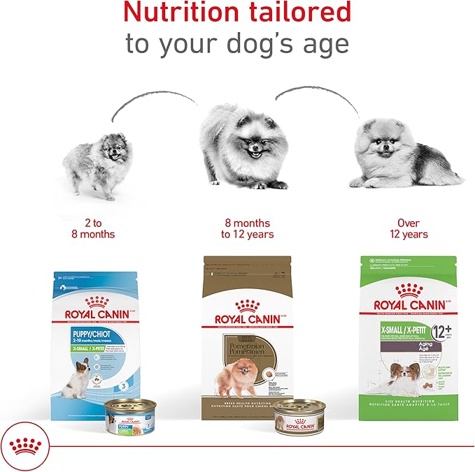 Royal Canin Breed Health Nutrition Pomeranian Dry Dog Food, 10 lb bag