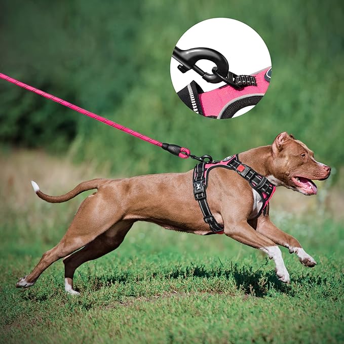 PoyPet Dog Harness and Leash Combo, Escape Proof No Pull Vest Harness, with 5 Feet Leash, Reflective Adjustable Soft Padded Pet Harness with Handle for Small to Large Dogs(Pink,S)