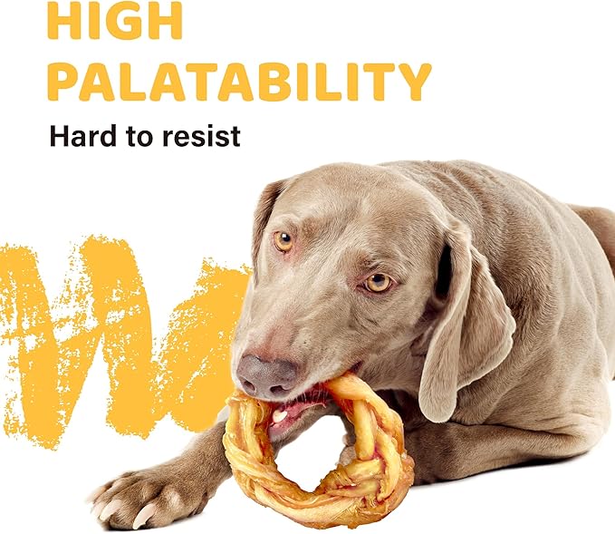 iPaw Turkey Tendon for Dogs, Ingredient Sourced from USA, Hypoallergenic, All Natural Human Grade Puppy Chew, Dog Treats for Signature Series, Rawhide Alternative, 2 Units/Pack Ring (Medium)