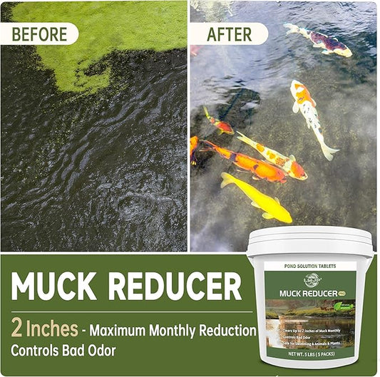 Muck Reducer - 5LB Natural Sludge Solution Tablets for Ponds & Lakes, Away Muck & Odor Control, Safe for Aquatic Life, Wildlife & Recreation, Treats Up to 30,000 Sq Ft