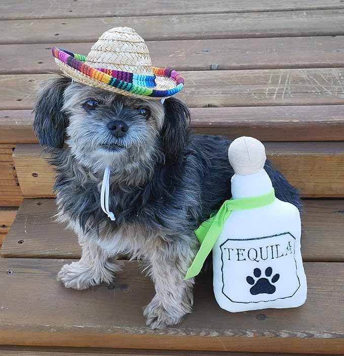 4 Pack Fiesta Dog Chew Toys and Sombrero - Mexican Squeak Plush Toys - Dog Gifts for Chihuahuas - Taco - Tequila - Hot Sauce - for All Breeds
