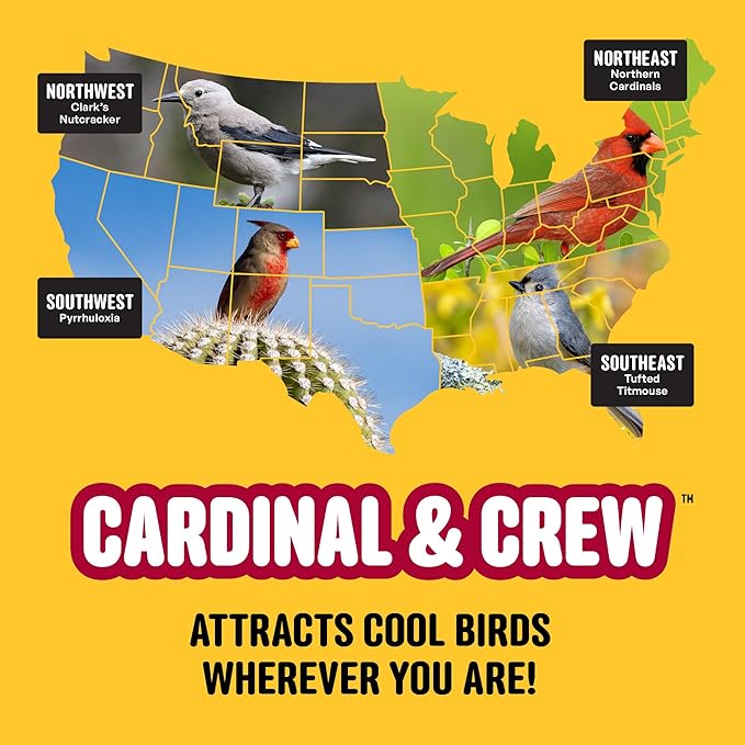Cardinal & Crew Wild Bird Seed – 10 lb. Black Oil Sunflower, Sunflower Hearts & Safflower Blend for Cardinals, Grosbeaks & Chickadees – Bird Food for Outside Feeders