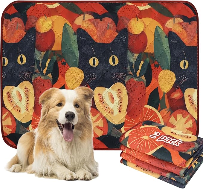 BVAGSS Washable Pee Pads for Dogs, 2 Pack Reusable Leakproof Puppy Wee Wee, Non-Slip Waterproof Pet Training, Super Absorbent Whelping XH081 (Cat, 36X48 Inch)