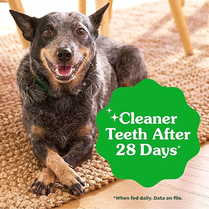 Greenies Veterinarian-Recommended Adult Natural Dental Dog Treats Large Size, Sweet Potato Flavor, 36 oz. Pack, 24 Count