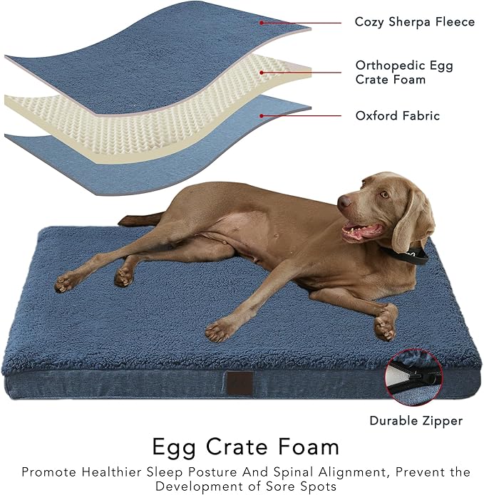 DaysU Large Dog Bed for Large Dogs, Orthopedic Dog Beds with Removable Washable Cover, Egg Crate Foam Pet Bed Mat, Light Navy, Suitable for Dogs Up to 65 Ibs, 36x27x3in
