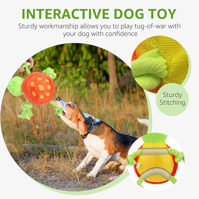 SCENEREAL Turtle Dog Toy - Chew & Fetch Toy for Medium Large Dogs, Floats on Water for Pool, Lake or Beach, Fall Halloween Puppy Toys Interactive Outdoor Training Retrieving Dummy