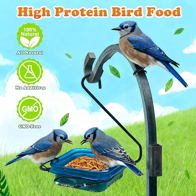 Amzey Dried Mealworms 11 LBS - 100% Natural for Chicken Feed, Bird Food, Fish Food, Turtle Food, Duck Food, Reptile Food, Non-GMO, No Preservatives, High Protein and Nutrition