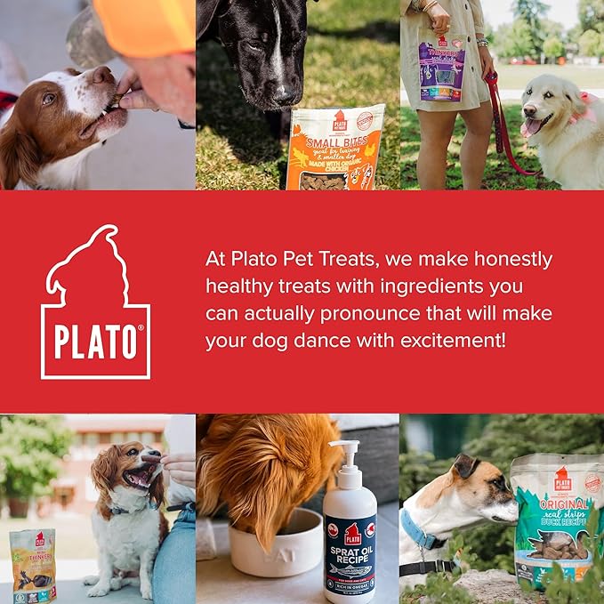 PLATO Turkey Real Strips Natural Dog Treats - Real Meat - Air Dried - Made in the USA - Turkey & Cranberry, 3 ounces