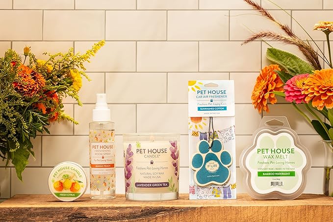 One Fur All Pet House Candle 2 Pack - Plant-Based/Soy - Clean Burning Scented, Long Lasting Pet Odor Candle for Home - Fresh Citrus, Lavender Green Tea