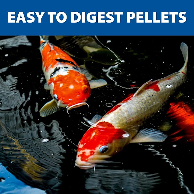The Pond Guy Staple Fish Food for Backyard Koi & Goldfish, Choice Floating Pellets for Fish Wellness & Health, Smart Nutrition for Clean Ponds, 12 lbs