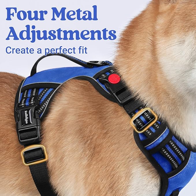 rabbitgoo Dog Harness for Large Dogs, No Pull Pet Harness with Soft Padded Handle, Adjustable Reflective Vest with 3 Buckles, Easy Walking Harness with 2 Leash Clips, Blue, M