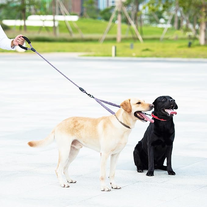 iYoShop Dual Dog Leash - 360° Swivel, No Tangle Walking Leash with Shock Absorbing Bungee for Two Dogs (Medium, 8-35 lbs, Lavender)