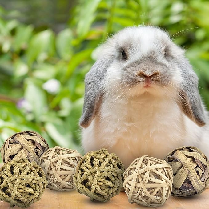 ERKOON Rabbit Toys Edible Woven Grass Ball Willow Ball, Made of Timothy Grass Hay and Willow of Treats and Chews Toy for Chinchilla Bunny Guinea Pig Gerbil