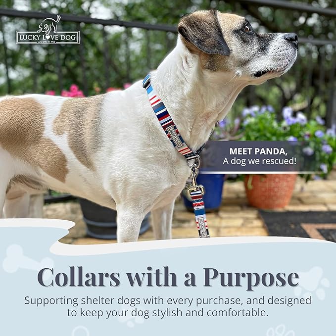 Lucky Love Dog - Adjustable Dog Collar with Easy Click Buckle for Small to Large Dogs, Durable, & Comfortable for Male & Female Dogs, Pet Collar for Puppies & Adult Ones - Linus, Medium