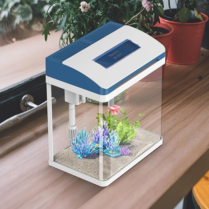 Betta Fish Tank 5 Gallon Glass Aquarium Starter Kit, Small Fish Tank with Filter and Light.
