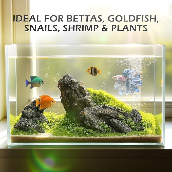 2 Gallon Glass Fish Tank, Nano Tank, Rimless Low Iron Aquarium for Betta/Goldfish/Snails/Shrimp and Aquatic Planting
