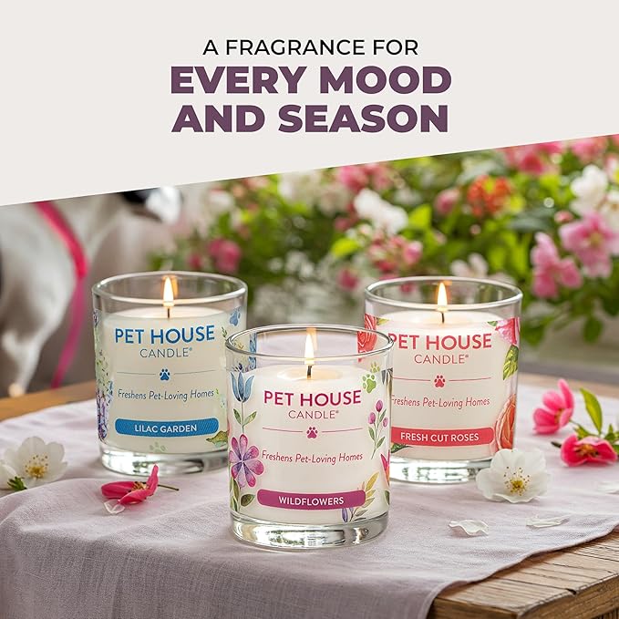 One Fur All Pet House Candle 2 Pack - Plant-Based/Soy - Clean Burning Scented, Long Lasting Pet Odor Candle for Home - Lavender Green Tea