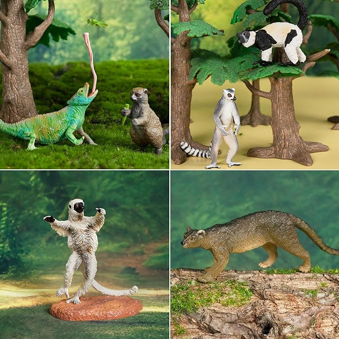 Toymany 12PCS Madagascar Animal Figurines Set, Realistic Lemur Jungle Animal Toys Set Includes Chameleon, Tortoise,Gecko,Fossa,Sifaka -Educational Forest Animals Figure Toy Collection for Kids Adults