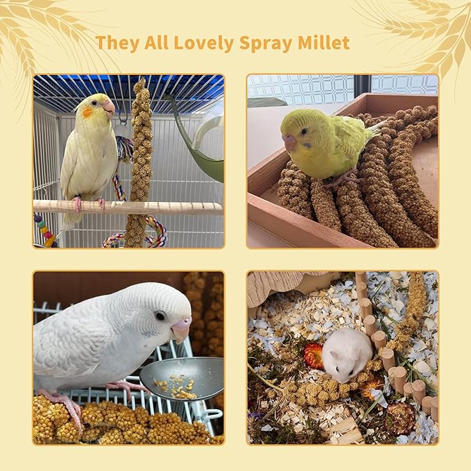 Fhiny Millet Spray for Birds, 2.2LB Natural Sun-Dried Millet for Birds Original Parakeet Food & Treats Spray for Parakeets Parrots Cockatiels Lovebirds Finches Budgies Hamsters