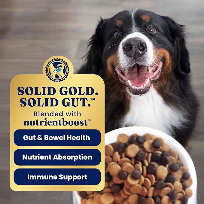 Solid Gold Bison Dry Dog Food for Large Dogs – High Protein, Whole Grain Kibble with Real Bison, Brown Rice & Omega 3 – Large Kibble w/Probiotics for Gut Health - Adult Dog Food - Nutrientboost™– 11LB