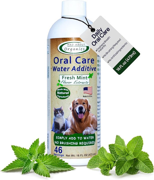 Oral Care Water Additive for Cats & Dogs – Gentle Dental Support – Reduces Breath Odors, Promotes Gum Health – No Brushing – Convenient for Daily Use, Fresh Mint Flavor, 16 FL oz