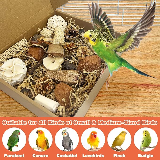 PINVNBY Bird Toys Natural Parrot Shredding Toy Interactive Bird Foraging Box and Chewing Toys for Conure Parakeet Budgie Cockatiel Lovebird Small-Medium Birds (Large)
