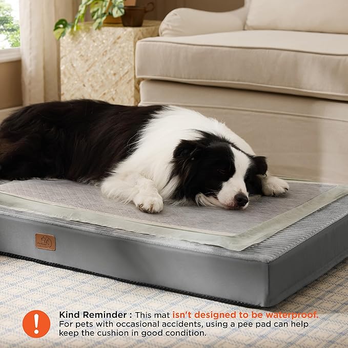 Bedsure Dog Beds Large Sized Dog- Orthopedic Pet Beds with Removable Machine Washable Cover, NOT Waterproof Egg Crate Foam Puppy Pad, Suitable for Pet Up to 50 lbs, 35"x22"