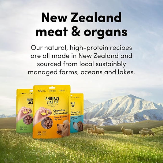 Premium Dog Treats, Freeze-Dried Raw 100% Grass-Fed Lamb Tripe, Single Ingredient, Protein Rich, Non-GMO, No Wheat or Corn, 2 oz