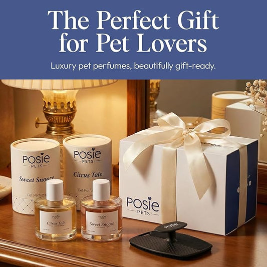 Perfume Gift Pack - Contains One Citrus Tale Fragrance, One Sweet Snooze Fragrance and Massage Brush