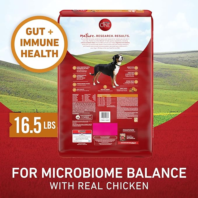 Purina ONE Chicken and Rice Formula Dry Dog Food - 16.5 lb. Bag
