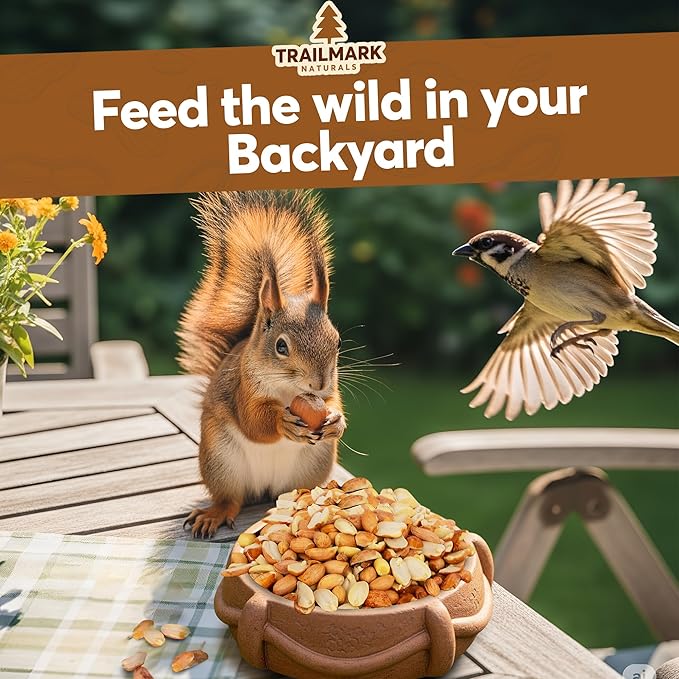 11 LB - Raw Shelled Peanuts for Squirrels, Out of Shell Peanuts for Birds and Wildlife- Squirrel Food, Wild Bird Seed - Grown in The USA