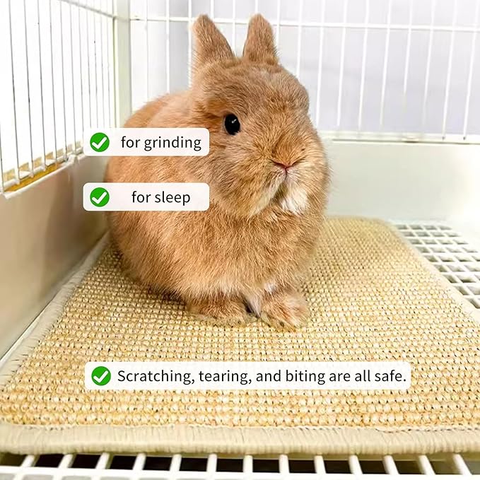 Oncpcare 4PCS Rabbit Scratch Mat - Natural Bunny Scratching Pad for Claws & Teeth Care, Cages & Pet Cage Bedding, 16x12