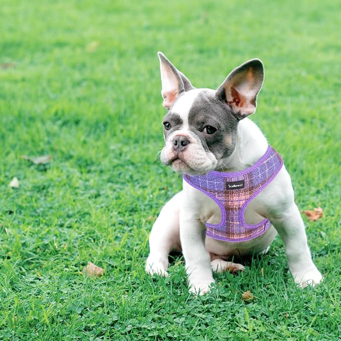 SCENEREAL Puppy Dog Harness with Leash Set for Small Medium Sized Dogs, Soft Mesh Step in Pet Harnesses and Leash, No Chock Plaid Adjustible No Pull Vest for Dogs Cats, Chihuahua,Bulldog (Purple M)