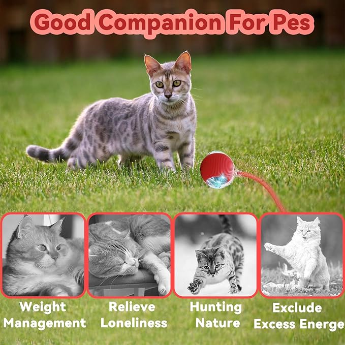 Interactive Cat Toys for Indoor Cats, Automatic Cat Toy with Elastic Mesh Tail, Electric Rolling Ball on Carpet, Chirping and Motion Activate Cat (Blue)