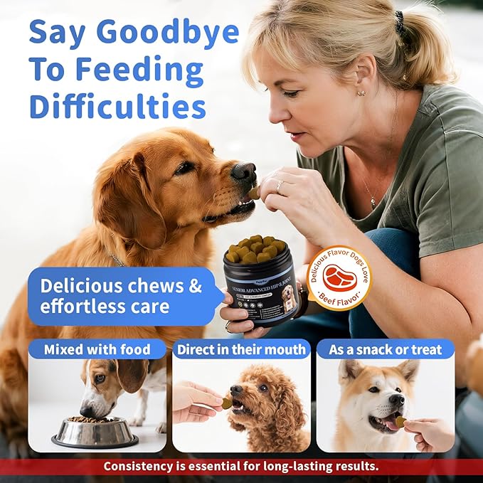 Senior Dog Joint Supplement, 17-in-1 Glucosamine for Dogs with Chondroitin, MSM, Pea, CoQ10, Omega-3, Hip and Joint Chews for Dogs – Beef Flavor – 90 Soft Chews – for All Breeds & Sizes