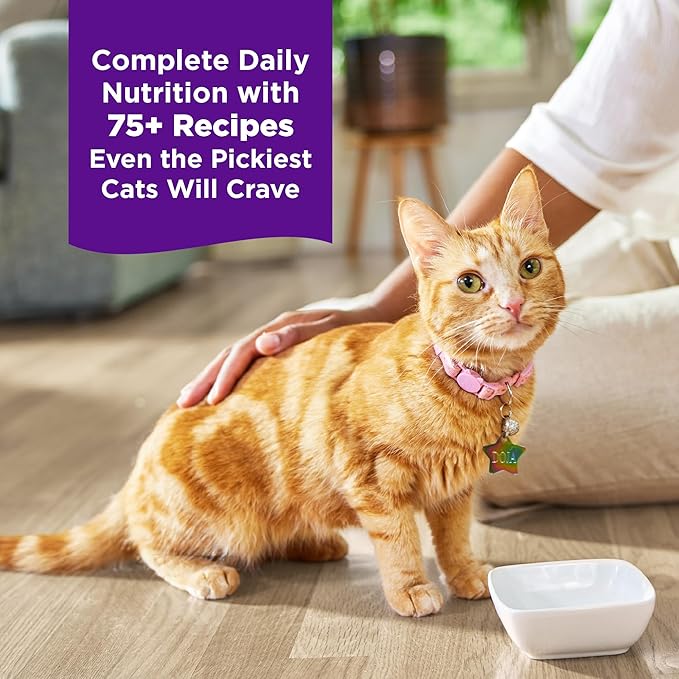 Wellness Complete Health Grilled, Adult Wet Cat Food, Natural, Protein-Rich, Grain-Free, Canned, 3 Ounce, 12 Pack, (Tuna, Mackerel & Shrimp Entrée Recipe)