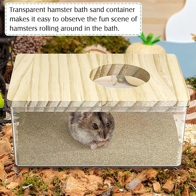 kathson Hamster Sand Bath Box Transparent Acrylic Small Syrian Hamster Shower Bathtub Small Gerbil Digging Sand Container with Climbing Ladder and Ceramic Bowl Cage Accessories for Lemmings Mice