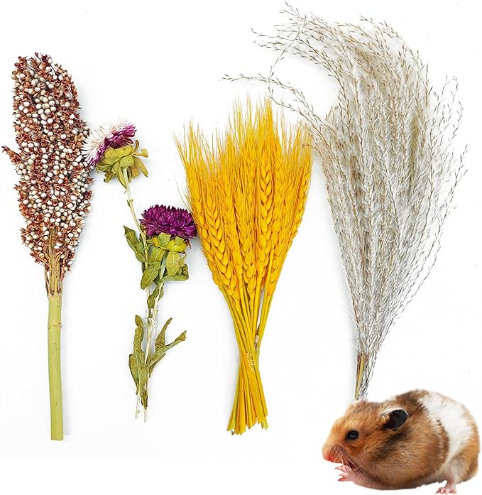 Fhiny Natural Hamster Bedding Mate, Edible Hamster Sprays Flowers & Herbs Gerbil Habitat Enclosure Decor Grain Treats Cage Accessories for Syrian Dwarf Hamster Gerbil Lemming Degus Mice