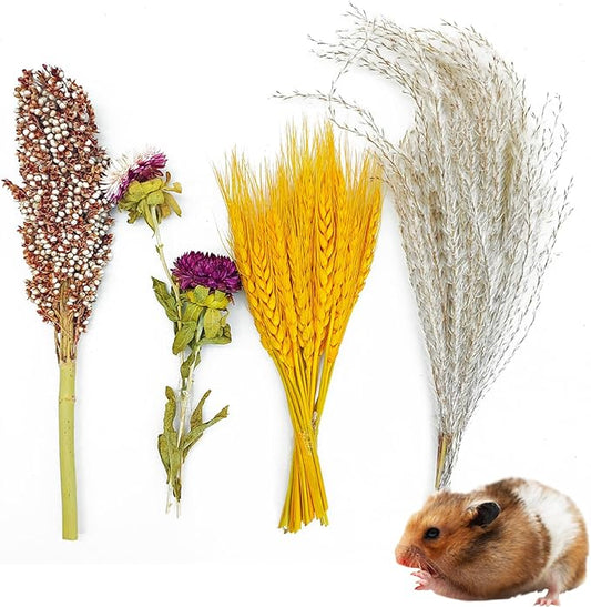 Fhiny Natural Hamster Bedding Mate, Edible Hamster Sprays Flowers & Herbs Gerbil Habitat Enclosure Decor Grain Treats Cage Accessories for Syrian Dwarf Hamster Gerbil Lemming Degus Mice