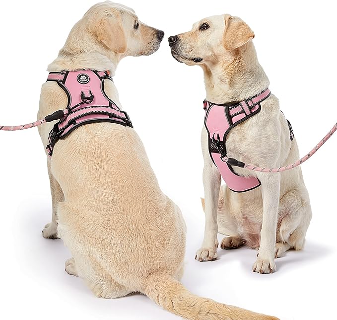 NESTROAD No Pull Dog Harness,Adjustable Oxford Dog Vest Harness with Leash,Reflective No-Choke Pet Harness with Easy Control Soft Handle for Large Dogs(Large,Pink)