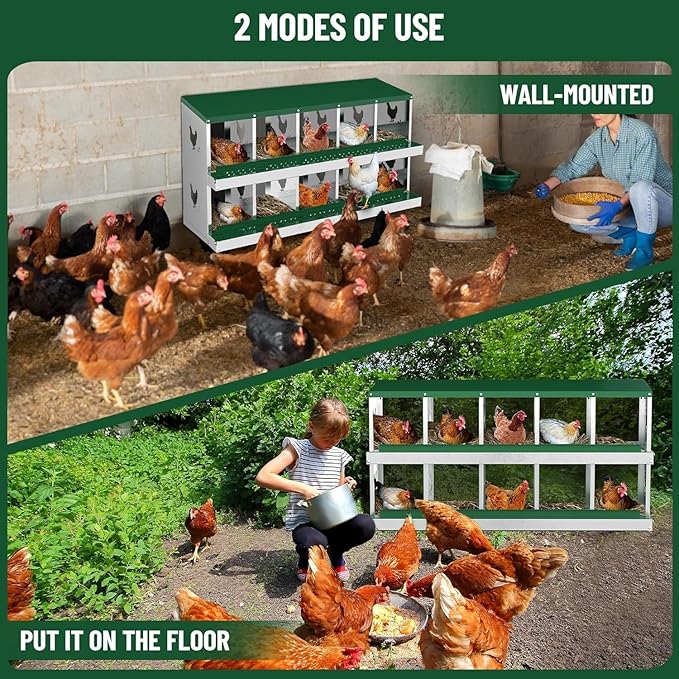 10 Compartments Chicken Nesting Box,Metal Chicken Egg Laying Box, Nesting Boxes,Easy Egg Collection, Easy Cleaning（Green）
