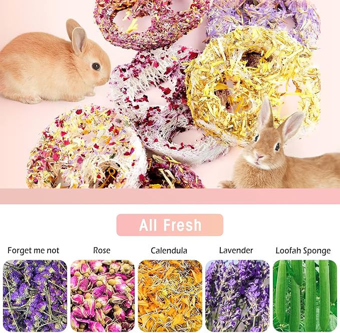 Natural Organic Loofah Chew Toys for Rabbits & Small Pets (6 Pcs) – Handmade Dental Care, Stress Relief, Safe Floral Scent