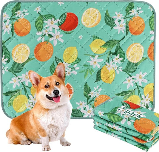 BVAGSS Washable Pee Pads for Dogs, 2 Pack Reusable Leakproof Puppy Wee Wee Pad, Non-Slip Waterproof Pet Training Pads, Super Absorbent Whelping Pads XH081 (Green Lemon, 36X41 Inch (Pack of 2))