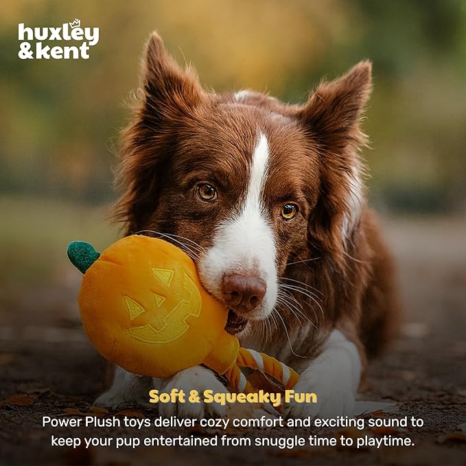 Huxley & Kent Halloween Funny Dog Toy w/Squeaker – Power Plush Squeaky Dog Toys for Small, Medium & Large Dogs – Soft Stuffed Animal for Indoor Play & Fetch - Jack-o-Lantern Safety Pop, One Size