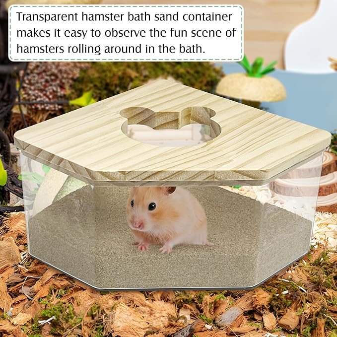 kathson Hamster Sand Bath Box Transparent Acrylic Small Syrian Hamster Shower Bathtub Small Gerbil Digging Sand Container with Climbing Ladder and Ceramic Bowl Cage Accessories for Lemmings Mice