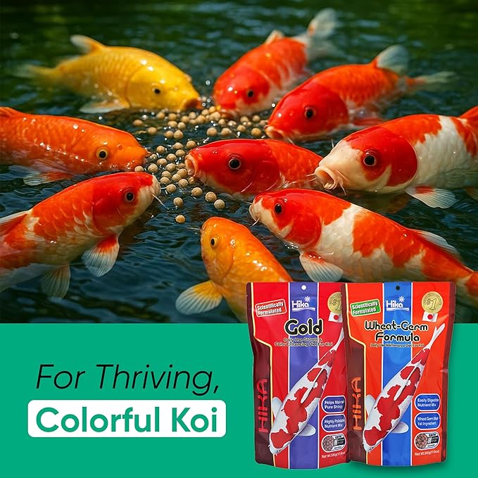 Koi Fish Food & Goldfish Food – Medium Pellets for Ponds – Wheat Germ Koi Food for Healthy Pond Fish, 17.6oz Bag with Microfiber Cleaning Cloth