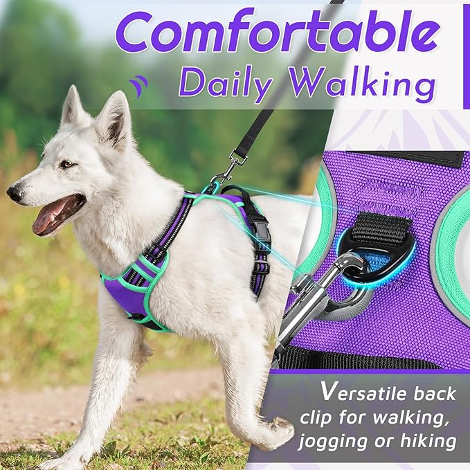 Eagloo Dog Harness for Large Dogs, No Pull Service Vest with Reflective Strips and Control Handle, Adjustable and Comfortable for Walking, No Choke Pet Harness with 2 Metal Rings, Purple & Green, L
