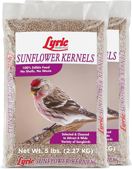 Lyric Sunflower Kernels Wild Bird Seed for Outside Feeders, No Waste Bird Food, Attracts Finches and More, 10 lb (Pack of 2-5 lb. Bags)
