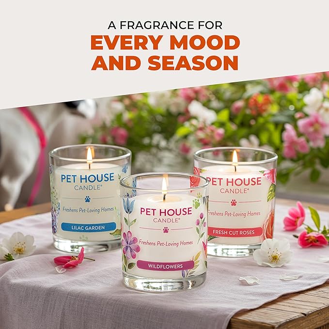 One Fur All Pet House Christmas Candles, Long Lasting, Clean Burning, Soy Wax Scented Candles for Pet Odor, Evergreen Forest