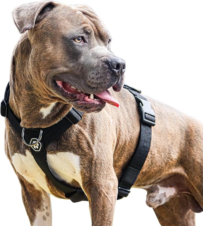 Spark Paws No Pull Dog Harness for Large Dogs, Heavy Duty Dog Harness for Big Strong Breeds, Adjustable, Y Shaped Padded Halter Design with Front Clip - Black - L